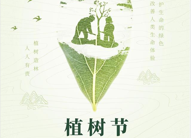 神马电影网全屋定製|種一棵樹，添一抹綠，綠化環境，從我們做起。
