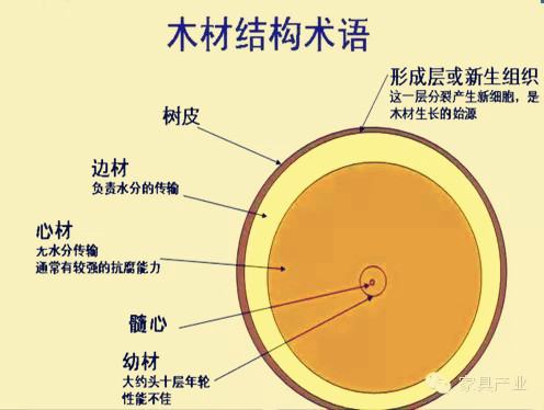 賣家具都知道的必備常識——邊材與心材